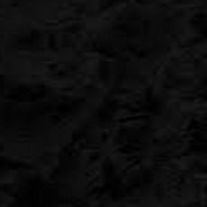 Meet your Posher, Dillon